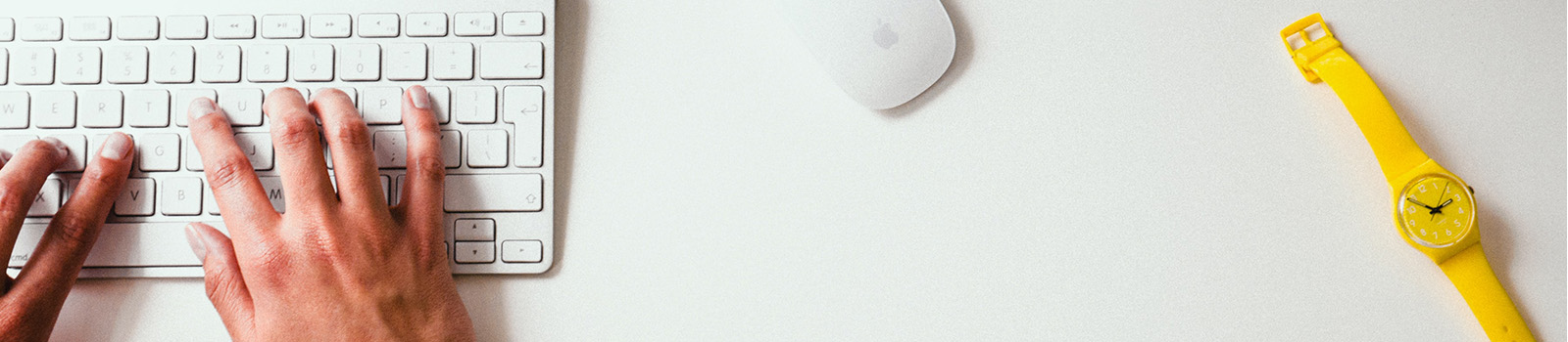 cmsjob-banner-3